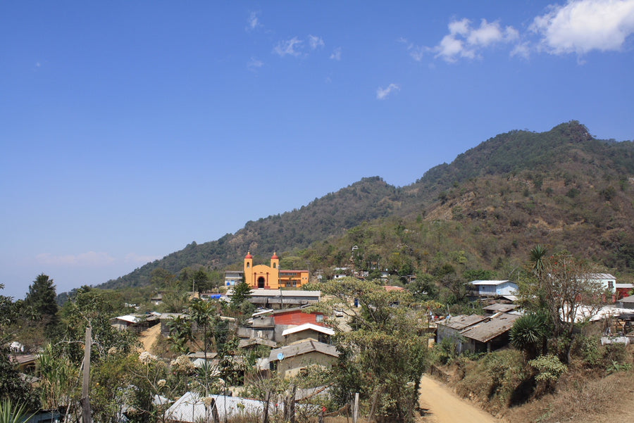 Newsletter: Mexico San Pedro Yosotatu