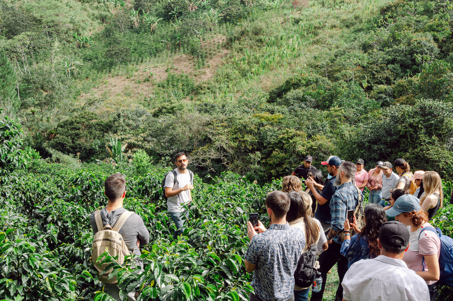 Emily's Corner - Day 1 in Colombia