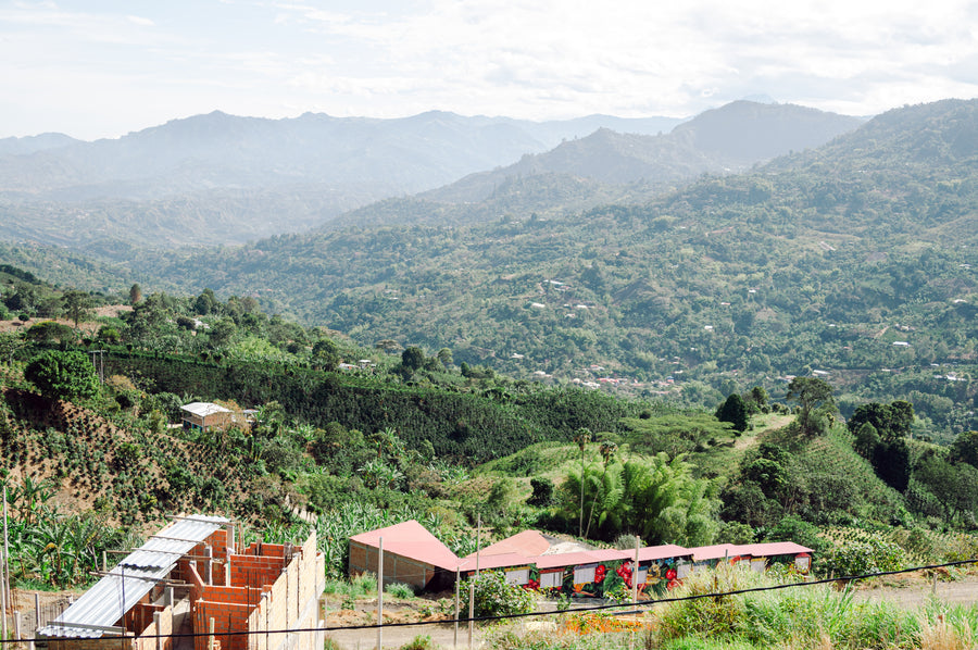 Emily's Corner - Day 4 in Colombia