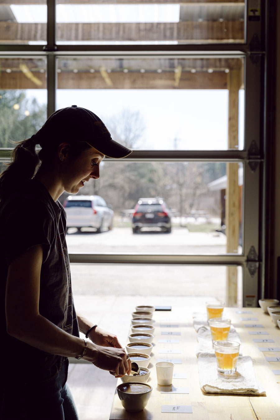 Striving for Roast Consistency - Part 1