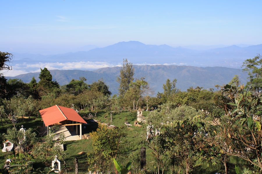 Newsletter: The Best Coffee Sourcing Stories Are The Boring Ones