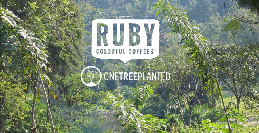 Newsletter: Earth Day and One Tree Planted