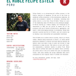 Load image into Gallery viewer, Peru El Roble Felipe Estela

