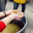 Load image into Gallery viewer, Roastery Tour - Friday, June 26 at 9:30AM
