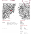 Load image into Gallery viewer, Decaf Flume Seasonal Blend
